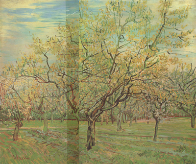 Vincent Van Gogh The White Orchard (nn04)